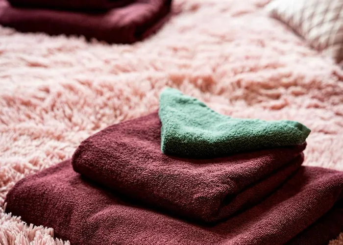 Royal Center Palace 公寓 布拉格